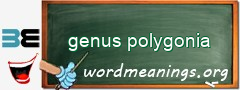 WordMeaning blackboard for genus polygonia